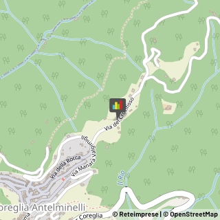 Biciclette - Dettaglio e Riparazione,55025Lucca