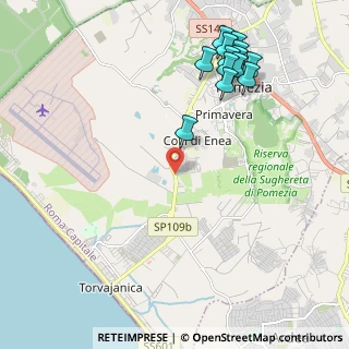 Mappa SP 101a, 00071 Pomezia RM (2.65615)