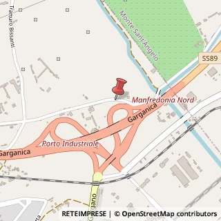 Mappa Via Antonello da Messina, 57, 71043 Manfredonia, Foggia (Puglia)