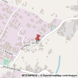 Mappa Via Sodine, 49, 03100 Frosinone, Frosinone (Lazio)