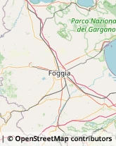 Asili Nido Lucera,71036Foggia