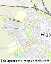 Asili Nido Foggia,71122Foggia