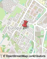 Viale Europa, 2,04100Latina