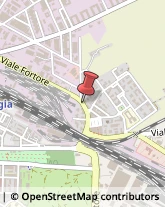 Viale Fortore, 8/C,71040Foggia