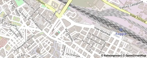 Mappa 포자