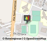 Palestre e Centri Fitness,00042Roma