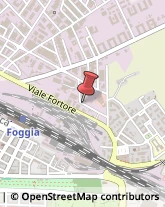 Via di Motta della Regina, ,71100Foggia