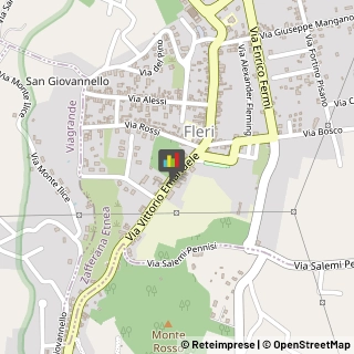 Animali Domestici - Vendita Zafferana Etnea,95019Catania