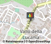 Articoli per Neonati e Bambini Vallo della Lucania,84078Salerno