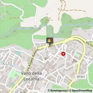 Palestre e Centri Fitness Vallo della Lucania,84078Salerno