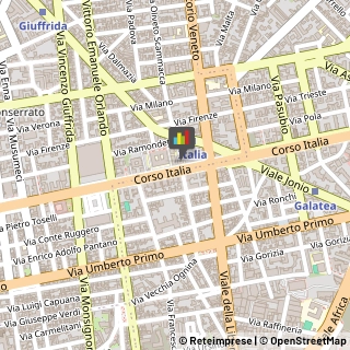 Minerali, Conchiglie e Fossili - Collezionismo,95129Catania
