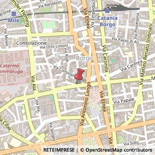 Mappa Via s. nicolo' al borgo 87, 95125 Catania, Catania (Sicilia)