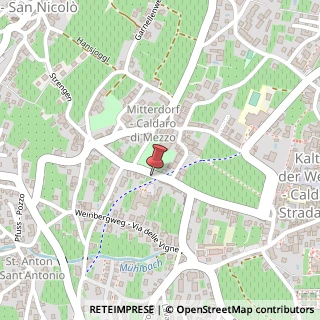 Mappa Via Mendola, 21, 39052 Caldaro sulla Strada del Vino, Bolzano (Trentino-Alto Adige)
