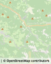 Locande e Camere Ammobiliate Nova Ponente,39050Bolzano