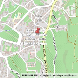 Mappa Piazza Principale, 1, 39052 Caldaro sulla Strada del Vino, Bolzano (Trentino-Alto Adige)
