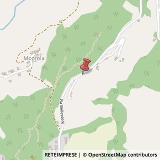 Mappa Via Bellessere,  12, 42035 Castelnovo Ne' Monti, Reggio nell'Emilia (Emilia Romagna)