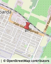 Viale Dante Alighieri, 50,48024Massa Lombarda