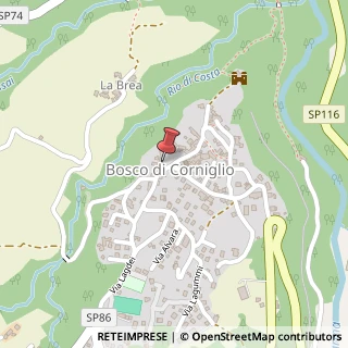 Mappa Località Bosco, 106, 43021 Corniglio, Parma (Emilia Romagna)