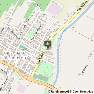 Aziende Agricole,48020Ravenna