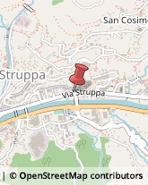 Via Struppa, 262/R,16165Genova