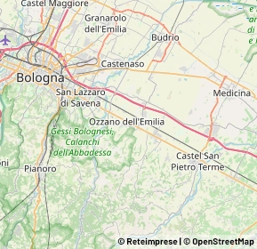 Mappa 40064 Ozzano Dell Emilia BO, Italia (9.433)