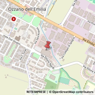 Mappa Via Ettore Nardi, 3, 40064 Ozzano dell'Emilia, Bologna (Emilia Romagna)