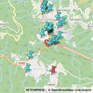 Mappa Via Giovanni Cevasco, 16021 Bargagli GE, Italia (0.47407)