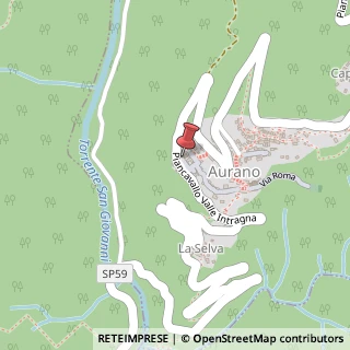 Mappa Via cadorna 1, 28824 Aurano, Verbano-Cusio-Ossola (Piemonte)