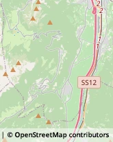 Feste - Organizzazione e Servizi Rovereto,38068Trento