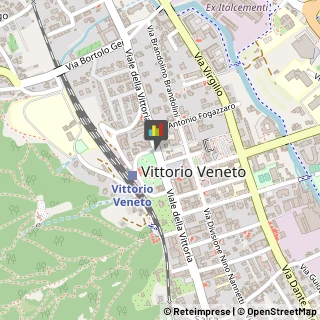 Autotrasporti Vittorio Veneto,31029Treviso