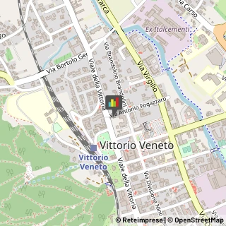 Consulenza Informatica Vittorio Veneto,31029Treviso