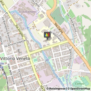 Palestre e Centri Fitness Vittorio Veneto,31029Treviso