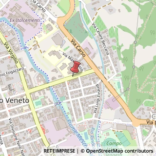 Mappa Viale Vittorio Emanuele II,  106, 31029 Vittorio Veneto, Treviso (Veneto)