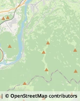 Cereali e Granaglie Feltre,32032Belluno