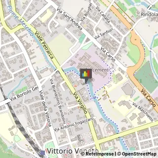 Consulenze Speciali Vittorio Veneto,31029Treviso