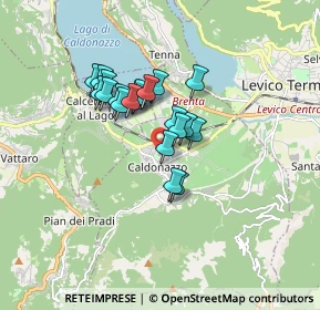 Mappa Viale Stazione, 38052 Caldonazzo TN, Italia (1.217)