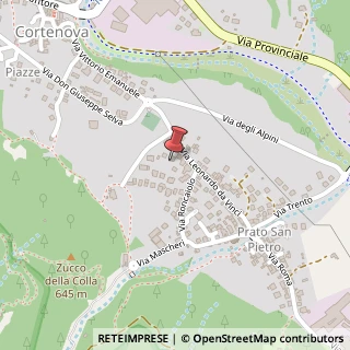Mappa Via L. da Vinci, 41, 23813 Cortenova, Lecco (Lombardia)