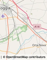 Tabaccherie Orta Nova,71045Foggia