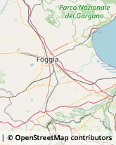 Calzature - Dettaglio Foggia,71122Foggia