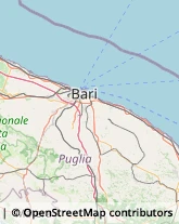 Società Immobiliari Bari,70127Bari