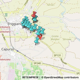 Mappa SP131 triggiano-noicattaro, 70019 Triggiano BA, Italia (0.9155)