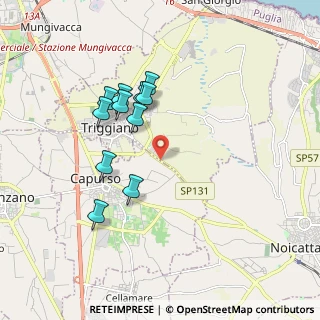 Mappa SP131 triggiano-noicattaro, 70019 Triggiano BA, Italia (1.77273)