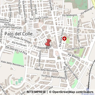 Mappa Via Napoleone I, 20, 70027 Palo del Colle, Bari (Puglia)