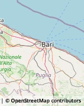 Smaltimento e Trattamento Rifiuti - Servizio Mola di Bari,70042Bari