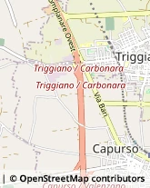 Macellerie Triggiano,70019Bari