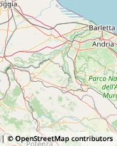 Trasportatori Meccanici Canosa di Puglia,76012Barletta-Andria-Trani