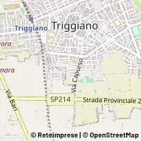 Karte Triggiano
