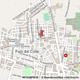 Mappa Via Giuseppe Verdi, 48, 70027 Palo del Colle, Bari (Puglia)