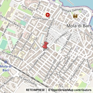 Mappa Viale Giacomo Matteotti,  41, 70042 Mola di Bari, Bari (Puglia)