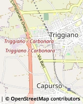 Aziende Agricole Triggiano,70019Bari